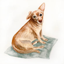 Load image into Gallery viewer, Custom Pet Portrait