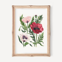 Load image into Gallery viewer, Poppies Art Print