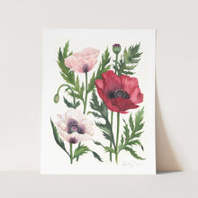 Load image into Gallery viewer, Poppies Art Print
