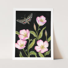 Load image into Gallery viewer, Evening Primrose Art Print