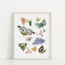 Load image into Gallery viewer, Butterflies and Moths Art Print