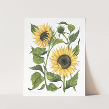 Load image into Gallery viewer, Sunflowers Art Print