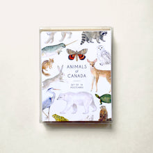 Load image into Gallery viewer, Postcard set featuring 16 different postcards of various animals of Canada. Each postcard shows a hand painted watercolor illustration. The box set includes the underwing moth, snowy owl, raccoon, narwhal, deer, chipmunk, lynx, polar bear, blue heron, gopher, painted turtle, arctic fox

