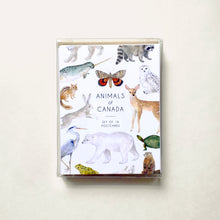 Load image into Gallery viewer, Postcard set featuring 16 different postcards of various animals of Canada. Each postcard shows a hand painted watercolor illustration. The box set includes the underwing moth, snowy owl, raccoon, narwhal, deer, chipmunk, lynx, polar bear, blue heron, gopher, painted turtle, arctic fox