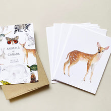 Load image into Gallery viewer, Postcard set featuring 16 different postcards of various animals of Canada. Detail of one of the postcards features an illustrated white-tailed deer on a white background.
