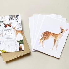 Load image into Gallery viewer, Postcard set featuring 16 different postcards of various animals of Canada. Detail of one of the postcards features an illustrated white-tailed deer on a white background.