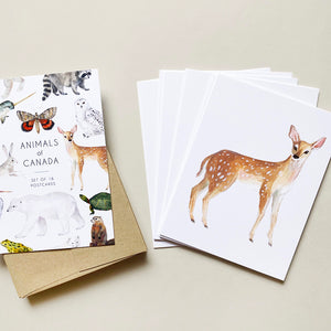 Postcard set featuring 16 different postcards of various animals of Canada. Detail of one of the postcards features an illustrated white-tailed deer on a white background.
