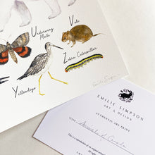 Load image into Gallery viewer, Detail shot of a giclee art print featuring illustrated animals of Canada. Includes the underwing moth, vole, yellowlegs and zebra caterpillar. This is the bottom corner of an Animals of Canada art print, featuring watercolor animals. On watercolor paper. Shown with a certificate of authenticity from artist Emilie Simpson.