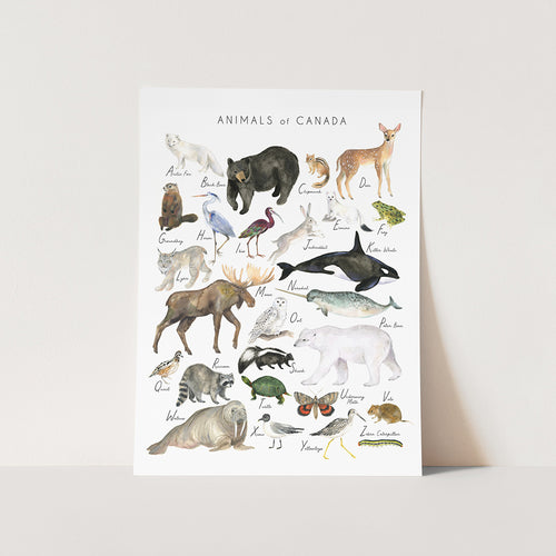 This giclee art print features hand-painted watercolour animals from A to Z. Each animals name is listed in a hand written font underneath them. The print says Animals of Canada in a modern sans serif font across the top. Printed on cotton watercolor paper on a 12x16 inch page.