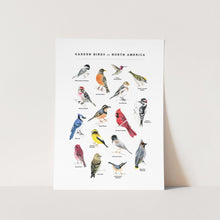 Load image into Gallery viewer, Garden Birds of North America Art Print