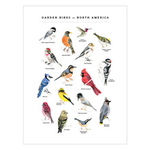 Load image into Gallery viewer, Garden Birds of North America Art Print