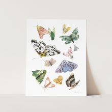 Load image into Gallery viewer, Butterflies and Moths Art Print