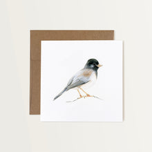 Load image into Gallery viewer, This note card features a hand-painted watercolor illustration of a Dark-eyed Junco on a white background. The bird has a black head with grey and brown wings and a white chest. The greeting card is paired with a brown Kraft paper envelope.
