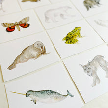 Load image into Gallery viewer, Animals of Canada Postcard Set