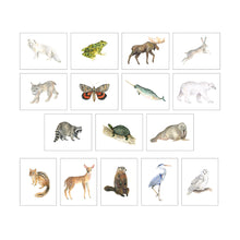Load image into Gallery viewer, Animals of Canada Postcard Set