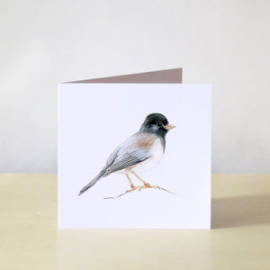 This note card features a hand-painted watercolor illustration of a Dark-eyed Junco on a white background. The bird has a black head with grey and brown wings and a white chest. The greeting card is paired with a brown Kraft paper envelope.