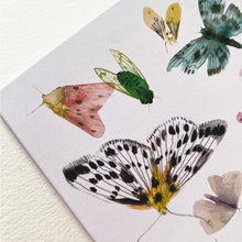 Load image into Gallery viewer, Butterflies and Moths Card
