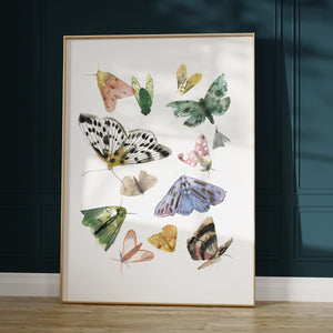 Butterflies and Moths Art Print