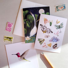 Load image into Gallery viewer, Anna&#39;s Hummingbird Card
