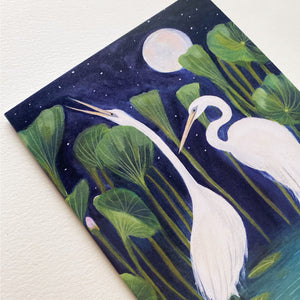 Midnight Egrets Card