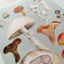 Load image into Gallery viewer, Mushroom Study Card
