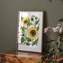 Load image into Gallery viewer, Sunflowers Art Print
