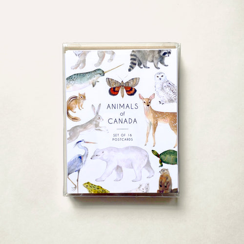 Postcard set featuring 16 different postcards of various animals of Canada. Each postcard shows a hand painted watercolor illustration. The box set includes the underwing moth, snowy owl, raccoon, narwhal, deer, chipmunk, lynx, polar bear, blue heron, gopher, painted turtle, arctic fox