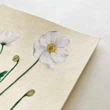 Load image into Gallery viewer, Japanese Anemones Original Painting
