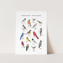 Load image into Gallery viewer, Garden Birds of North America Art Print
