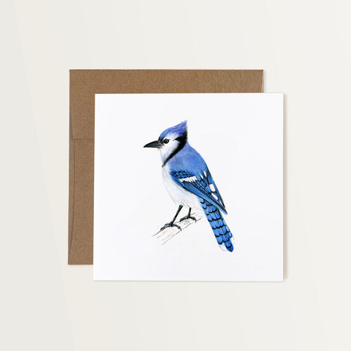 This note card features a hand-painted watercolor illustration of a Blue-Jay on a white background. The bird is a cobalt blue with a white neck and black stripes on its wings. It’s depicted perched on a branch. The greeting card is paired with a brown Kraft paper envelope.