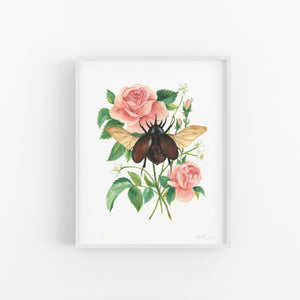 Stag Beetle and Rose Art Print