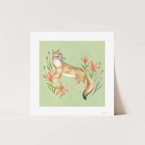 Swift Fox Art Print