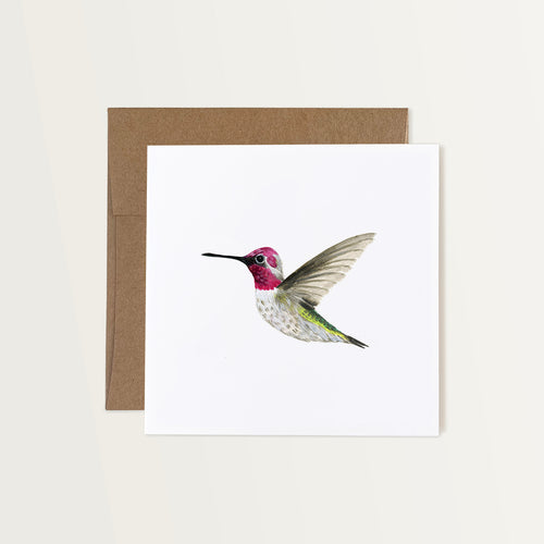 This note card features a hand-painted watercolor illustration of an Anna’s Hummingbird on a white background. The hummingbird is a soft brown colour with a bright pink neck and green under its wings. It’s depicted in flight. The greeting card is paired with a brown Kraft paper envelope.