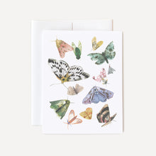 Load image into Gallery viewer, Butterflies and Moths Card
