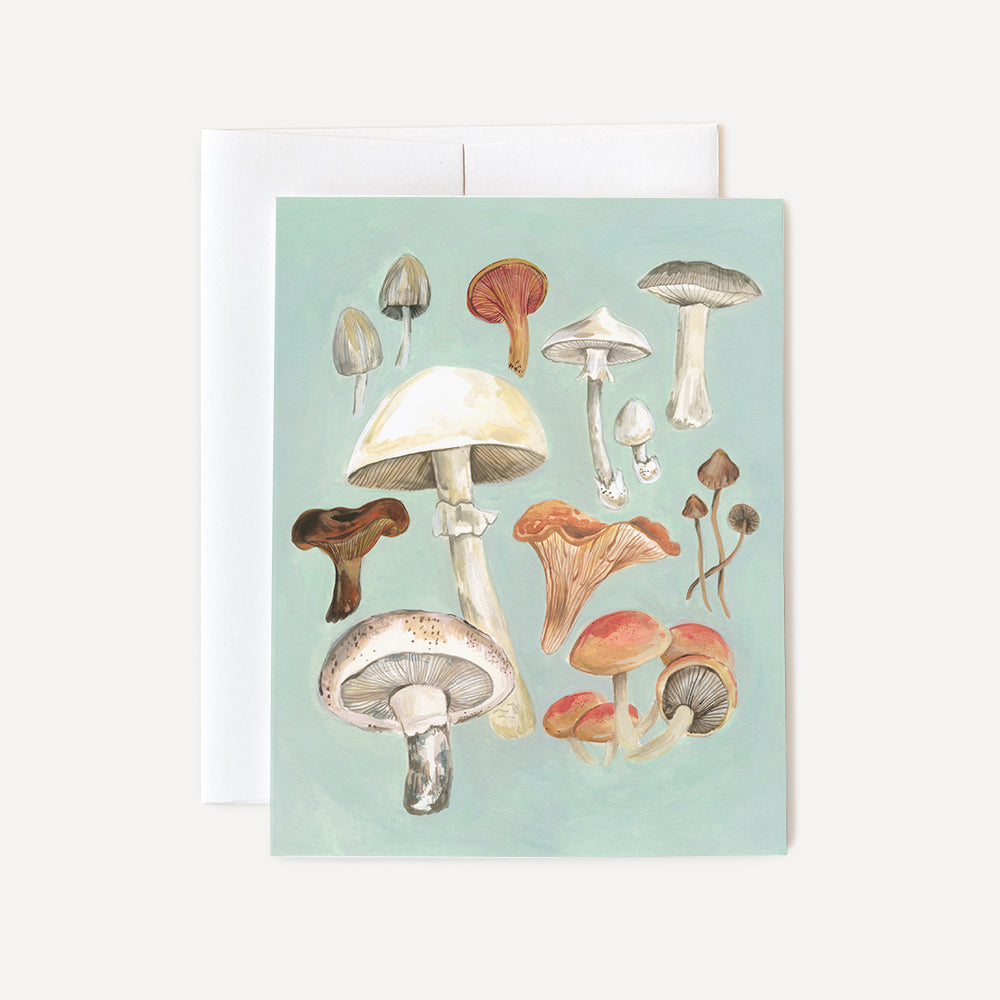 Mushroom Study Card