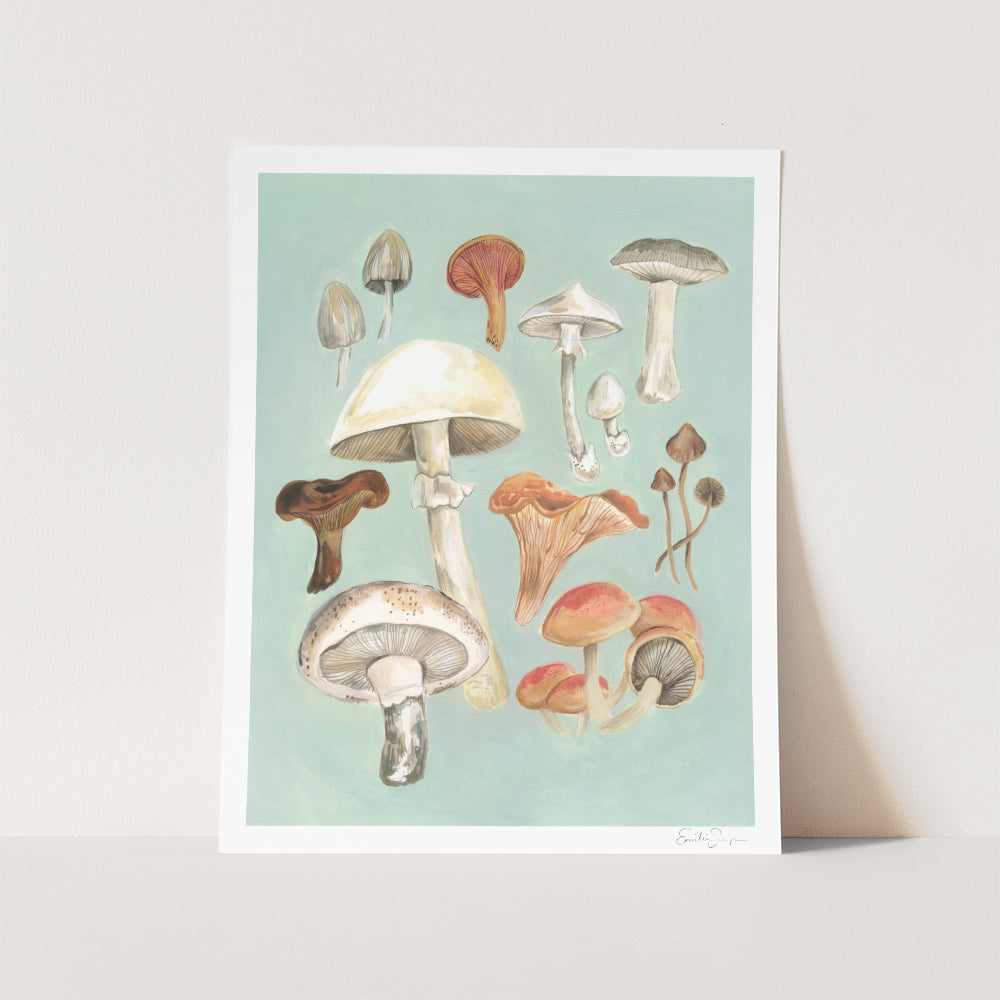 Mushroom Study Art Print