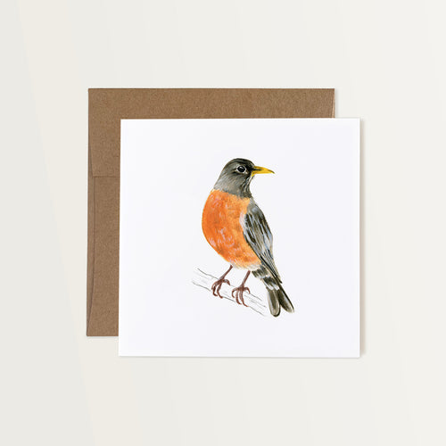 Blank note card featuring a hand painted robin on a white background. Paired with a Kraft paper envelope.