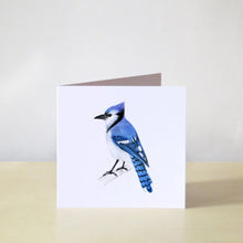 Load image into Gallery viewer, Blue Jay Card
