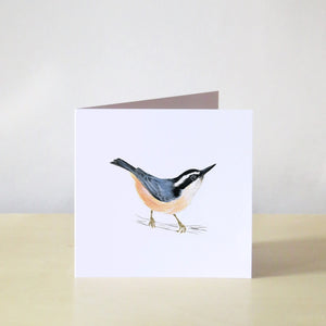 Red-breasted Nuthatch Card