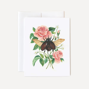 Stag Beetle and Rose Card