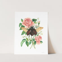 Load image into Gallery viewer, Stag Beetle and Rose Art Print
