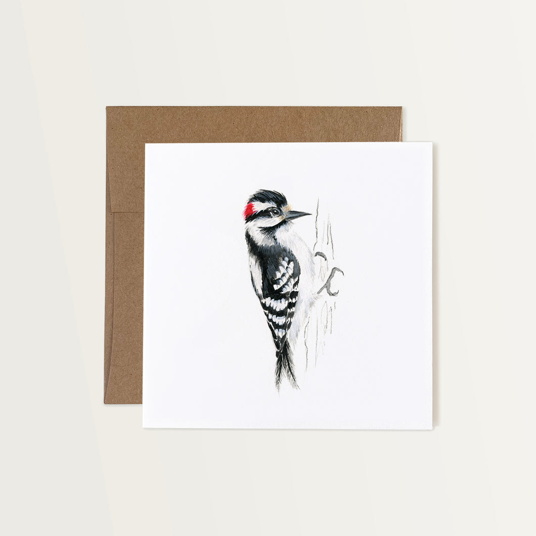 Downy Woodpecker Card